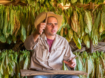 Benito Camejo Nodarse Tobacco Farm - Vinales 
